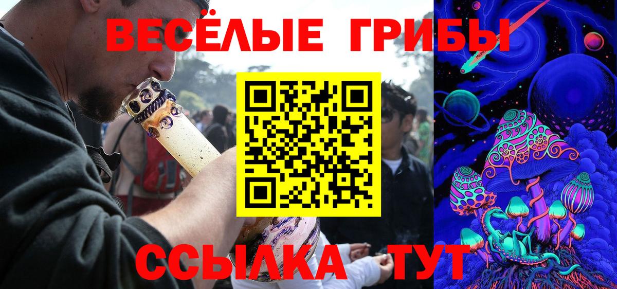 Галлюциногенные грибы мицелий  Вход с VPN  Отрадный 