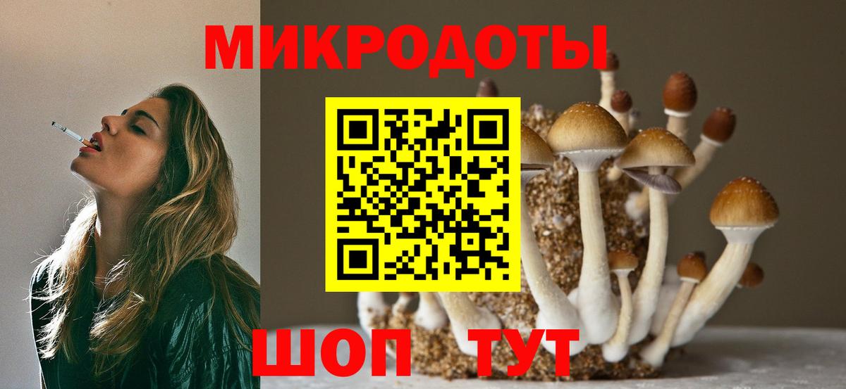 Галлюциногенные грибы Cubensis Отрадный